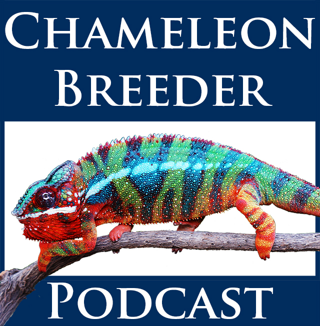 Chameleon Breeder Podcast logo