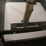 Dragon Ledge installed on chameleon screen cage