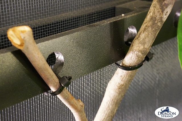 Chameleon Cage Setup: Anchoring branches