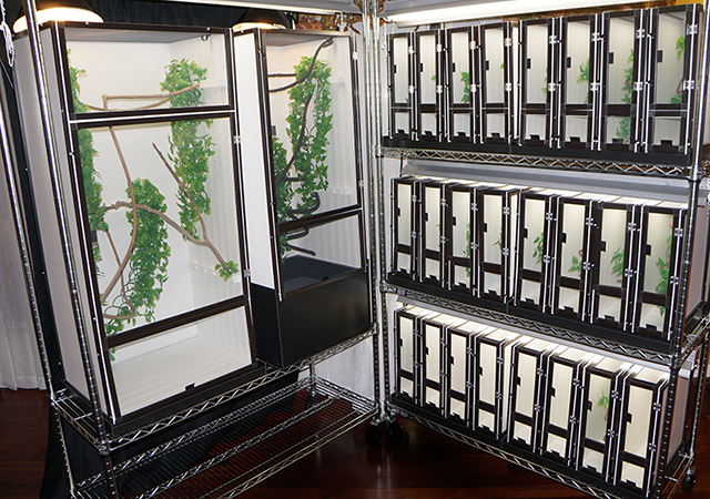 Chameleon cage rack breeding system