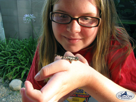 Are Chameleons Good Pets For Children? – Dragon Strand