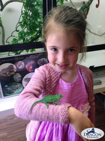 Are Chameleons Good Pets For Children? – Dragon Strand