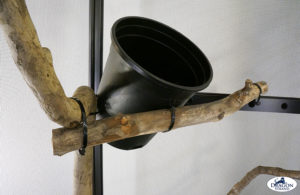 Chameleon Cage Setup: Anchoring pots