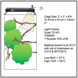 Cage-Plan-1 Chameleon Cage Plan