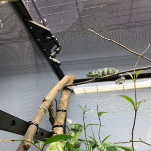 Mounted-along-side Hydration Mount