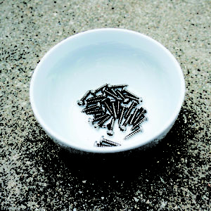 bowl-of-screws-540 The bowl for collecting chameleon cage screws