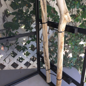 grid vertical branches on Dragon Ledges forming a grid