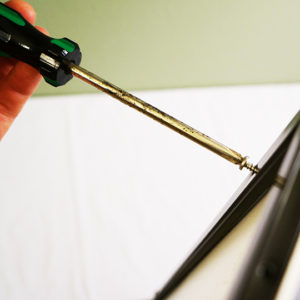 screw-in-screw-540 screwing screws into chameleon cage