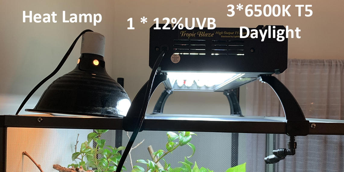 12% in Quad Light placement