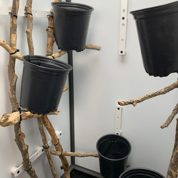 branches and pots for a chameleon cage build