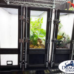 nursery cage system with bioactive