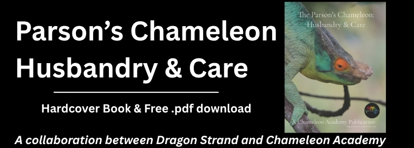 Parsons Chameleon Book